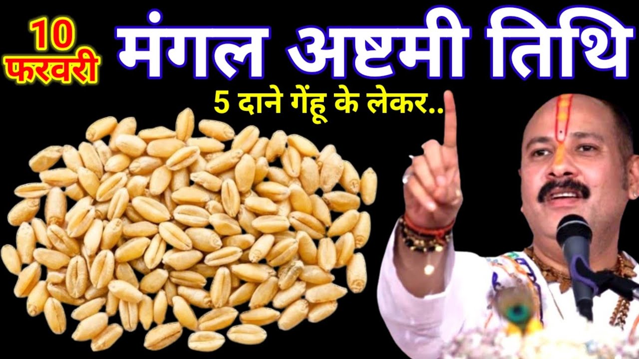 10 फरवरी फाल्गुन मंगलवार अष्टमी के दिन 11 गेहूं के दाने वाला उपाय जरुर करे || Pradeep Ji Mishra