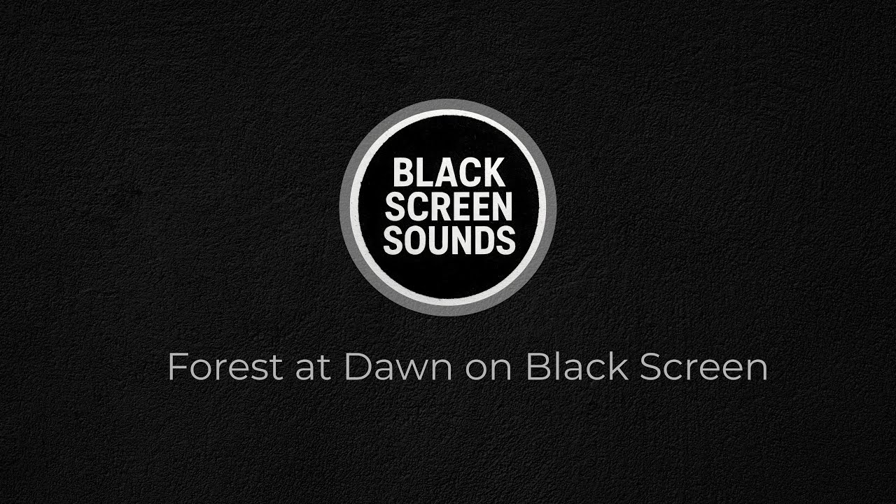 Forest at Dawn on Black Screen | 3 Hours of Nature Ambience for Sleep