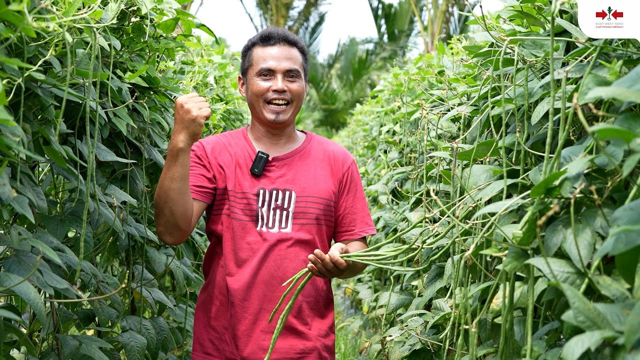Perintis & Inspirasi Bertani Mencapai #panenmakmur – Kisah Sukses GUARDA