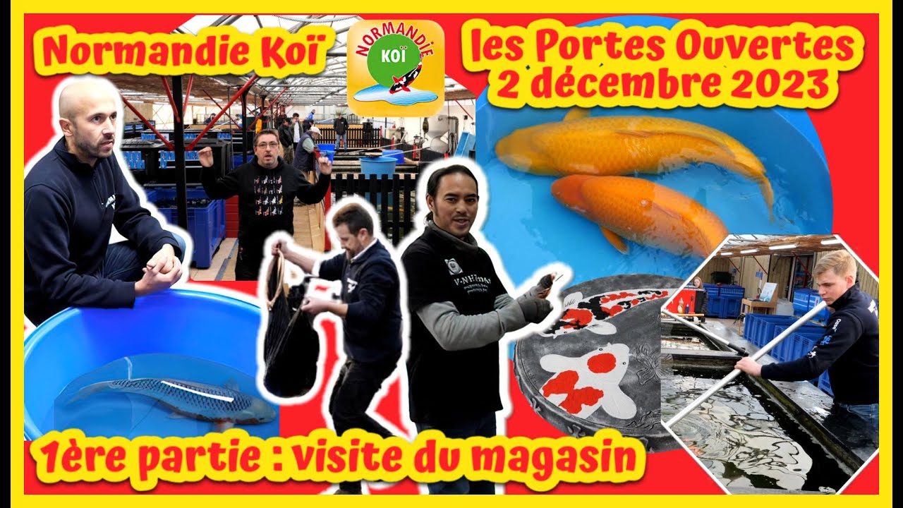 Normandie Koi part1 les portes ouvertes du 2 déc 2023 (BASSIN DE JARDIN)