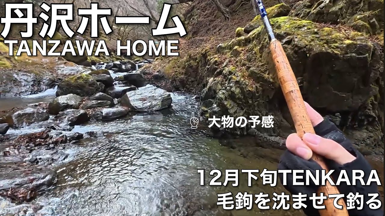 丹沢ホーム 12月下旬 TENKARA 毛鉤沈ませの釣り