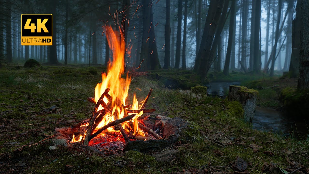 12H 📺 Campfire in foggy Forest by the River 🔥 100% Authentic Sounds