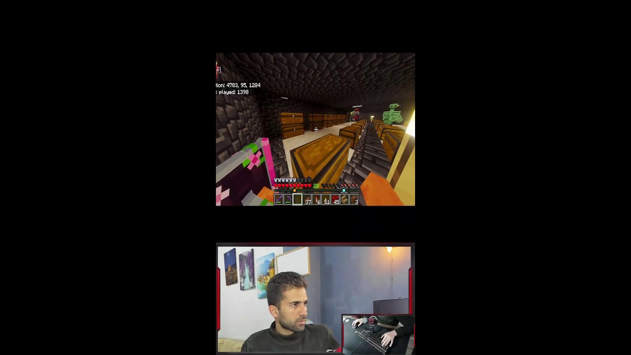 Some Terraria and Minecraft