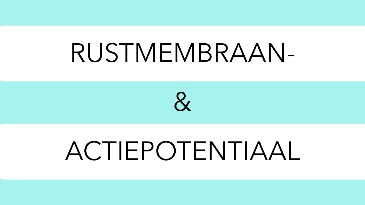Rustmembraan  en actiepotentiaal