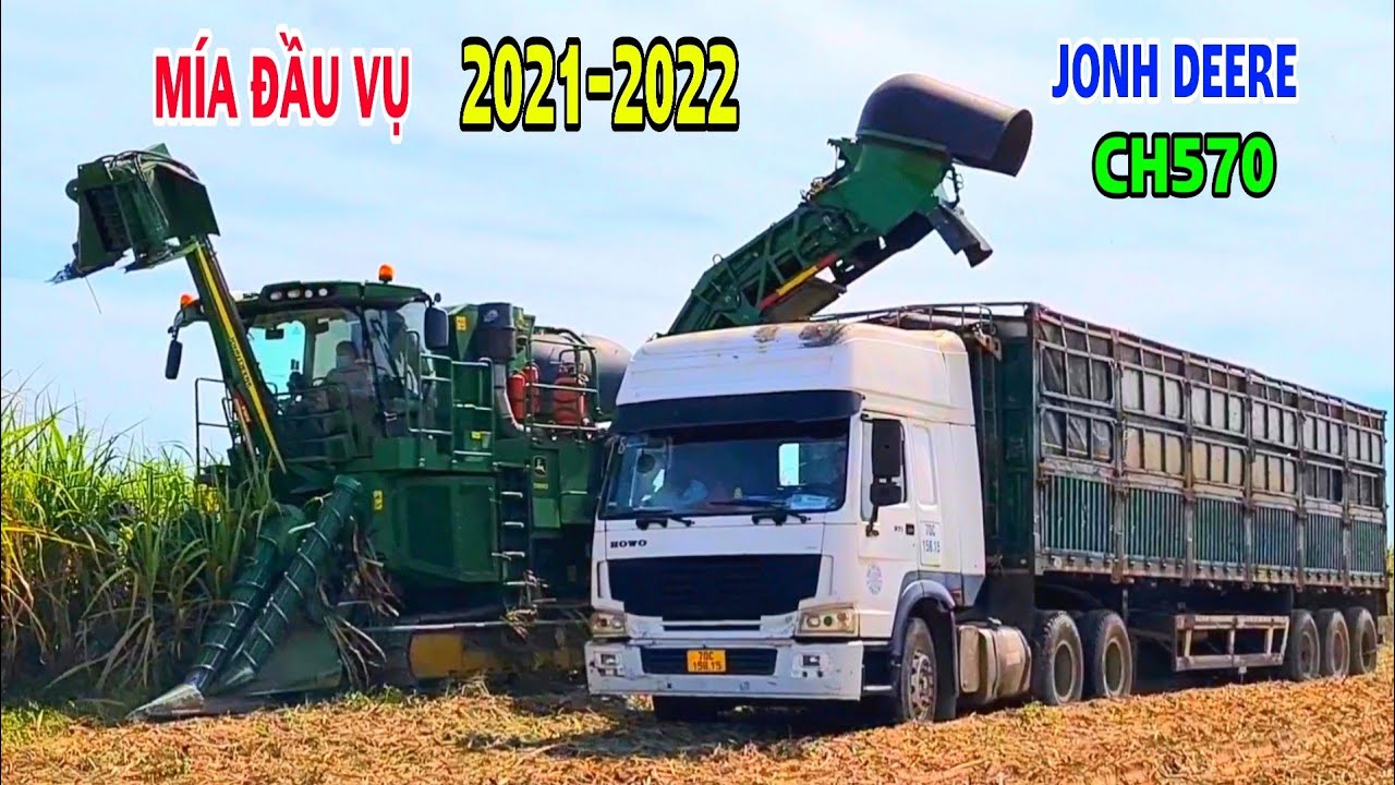 Thu Hoạch Mía Đầu Vụ Năm 2021-2022 Ở Dầu Tiếng Bình Dương, John Deere CH570, Thiện Vũ TV