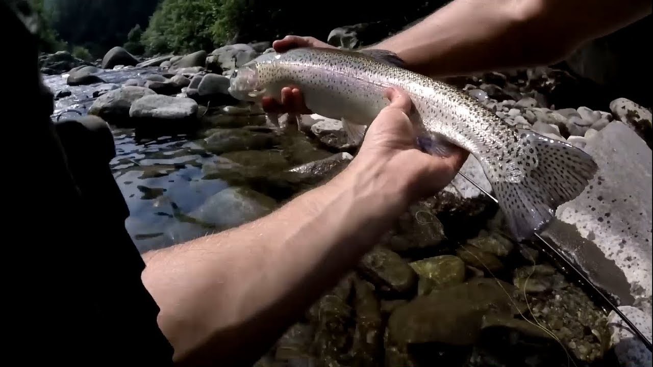 Pesca a Mosca in Mastallone - Riserva 