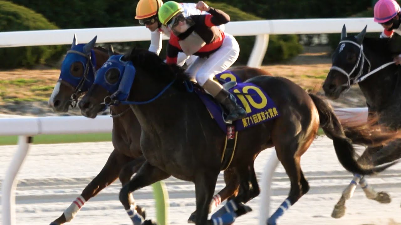 【東京大賞典2025】地方馬20年ぶりの勝利‼ ミッキーファイトなどのJRA勢を撃破‼ ディクテオンのウイニングラン 現地映像