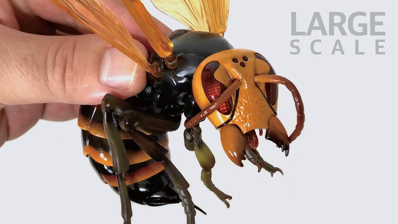 Giant Hornet | 5 inches long | Unboxing Plastic Model Kit
