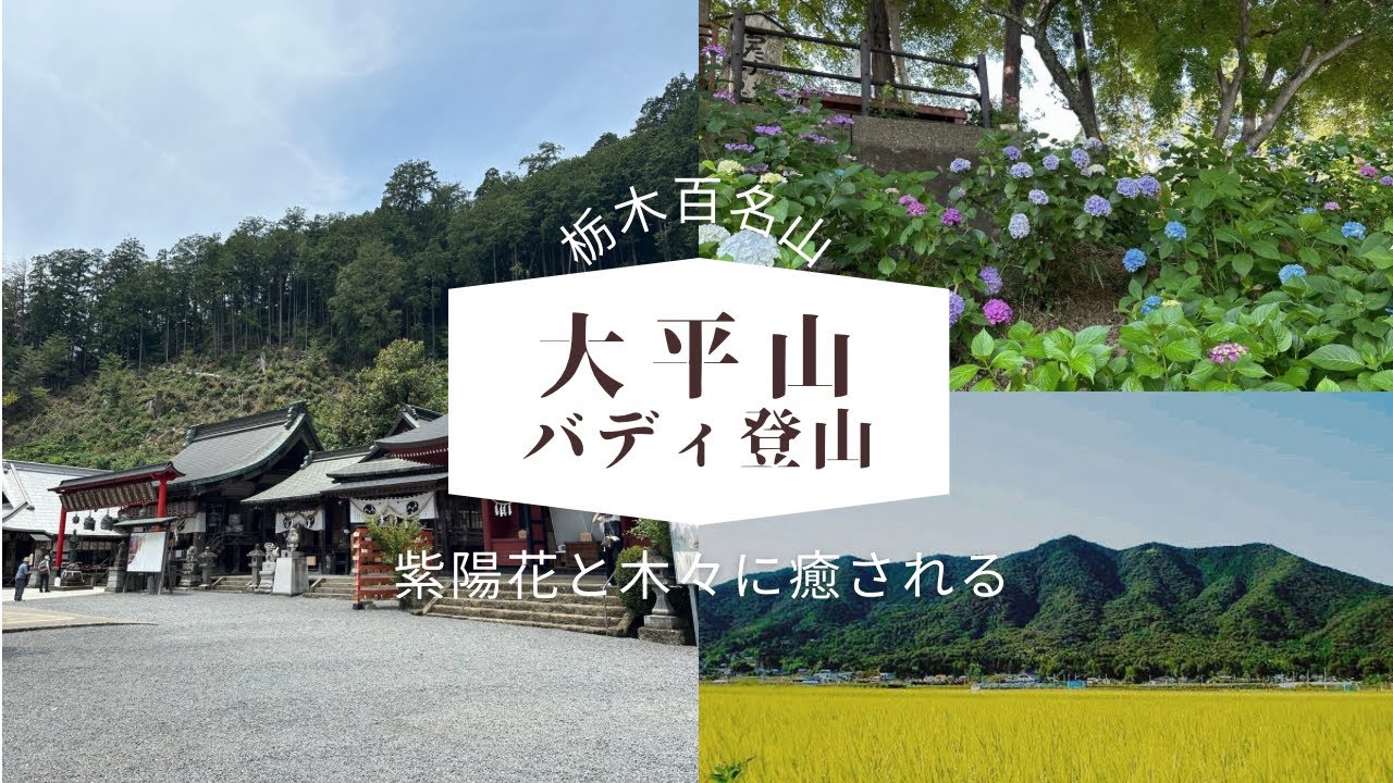大平山神社から大平山そして晃石山へ。バディが登場するもなかなかの登りごたえに苦戦？！