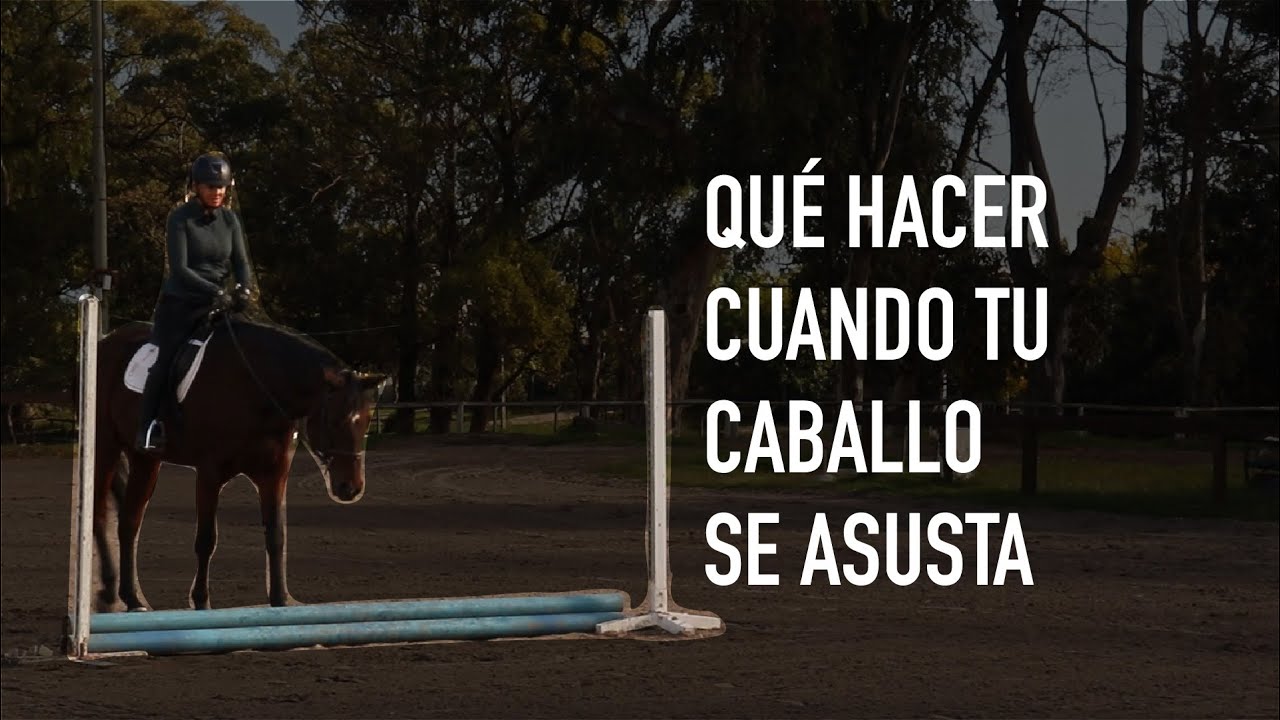 Qué hacer cuando tu caballo se asusta