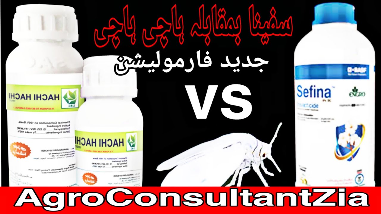 White Fly Control | SEFINA | INSCALIS | Hachi Hachi | Tolfenpyrad | Flunicamid for Jassid.