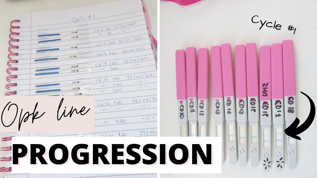 Ovulation Test Line Progression Cycle #1 || Trying To Conceive Baby #3