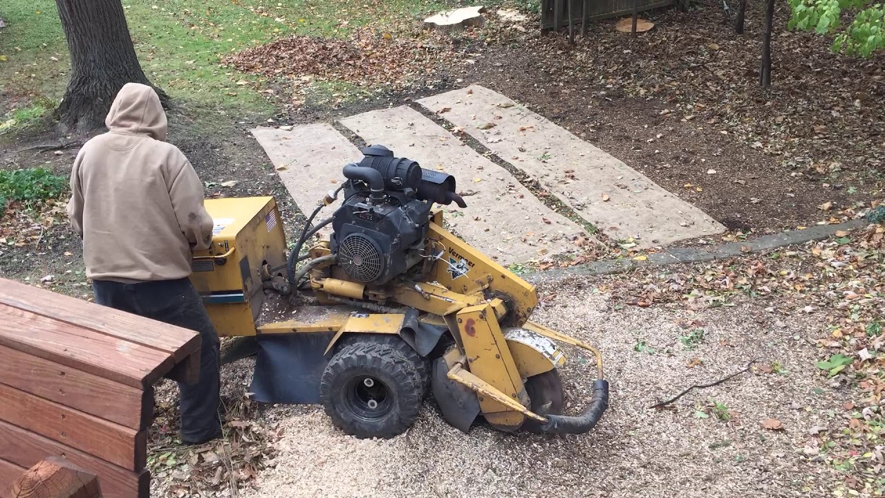 Stump Grinding Timelapse