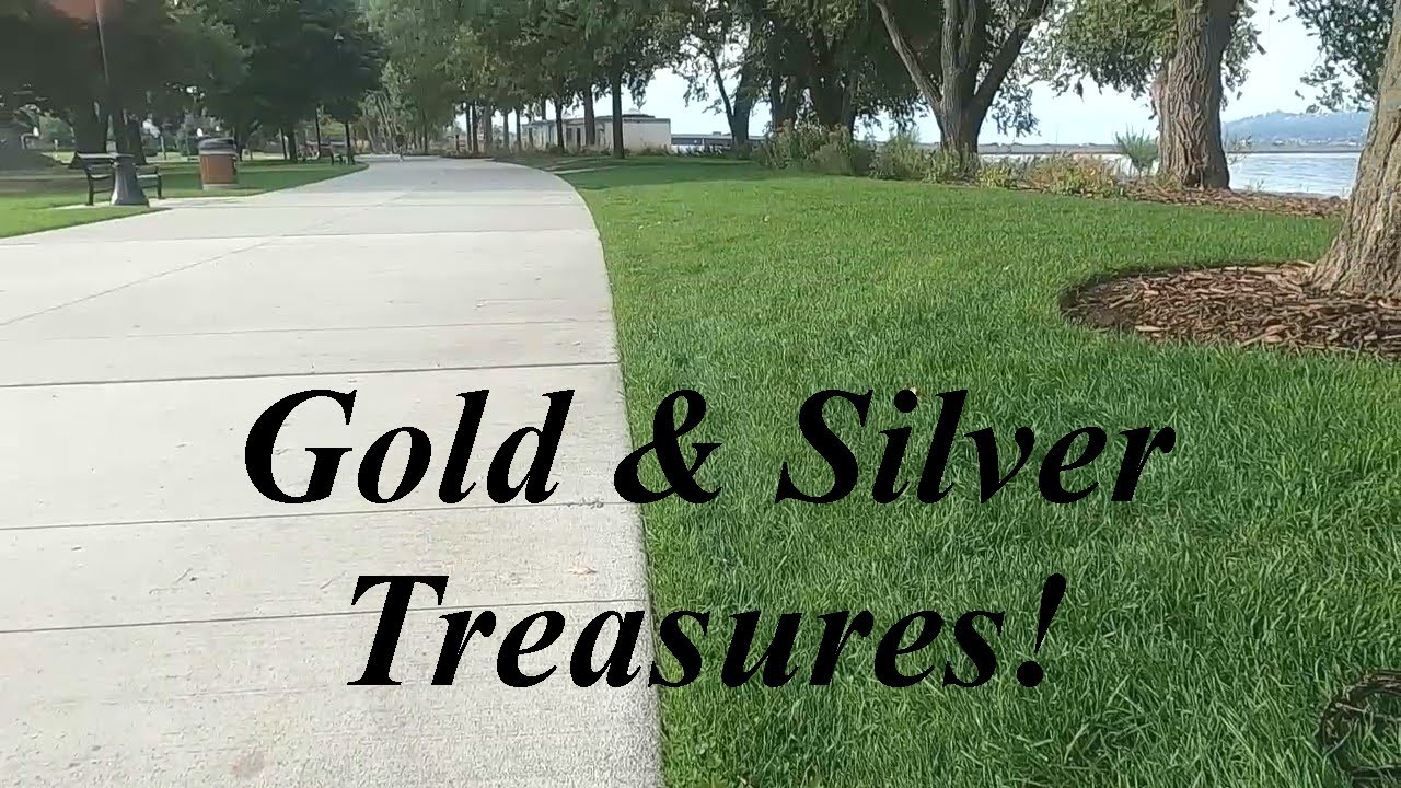 What is Going on in this Park?! Metal Detecting