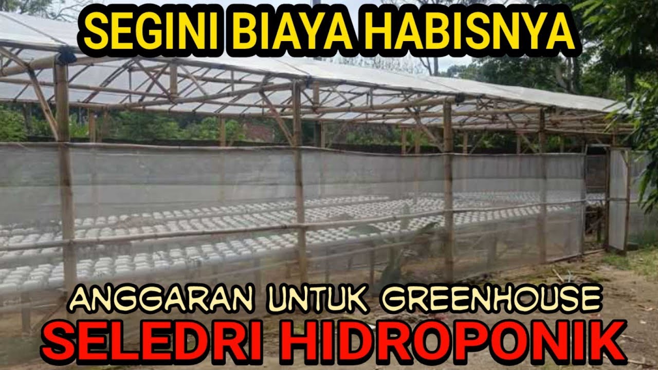 Rincian Bahan Dan Perkiraan Biaya  Yang Dibutuhkan Untuk Pembuatan Greenhouse Seledri Hidroponik
