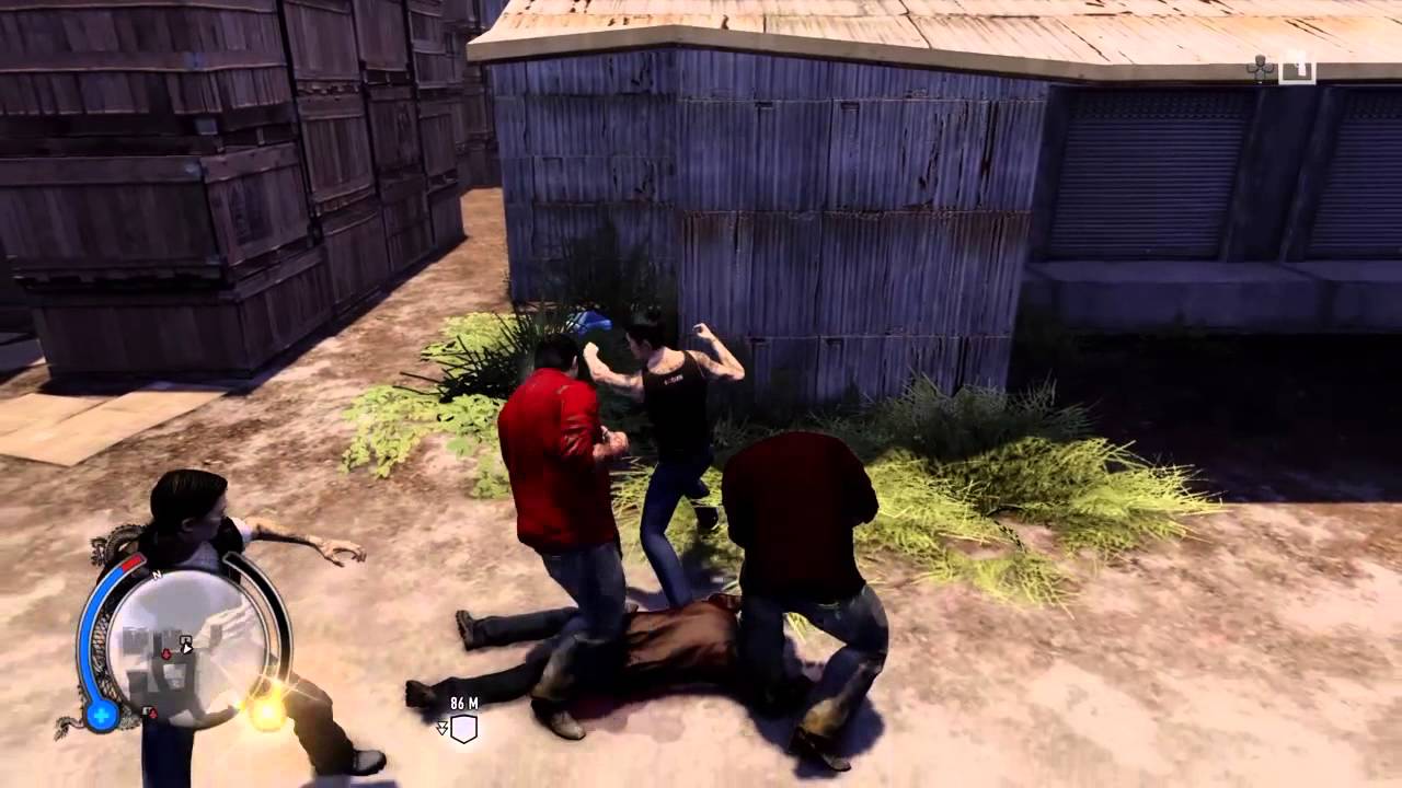 Sleeping Dogs Definitive Edition - Platinum Trophy - (VanDiablos)