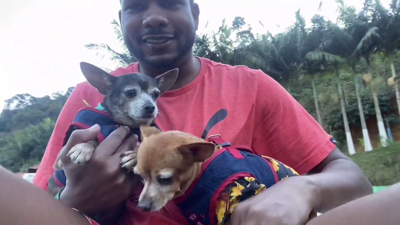 Viajando com meu irmãozinho Catatau e nossa família