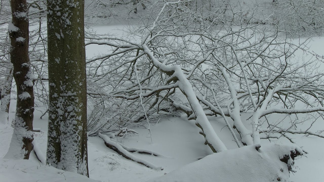 Les 4 saisons en 25 minutes (Court métrage musical)