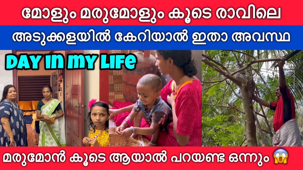 മോളും മരുമോളും കൂടെ അടുക്കളയിൽ കേറിയാൽ ഇതാ അവസ്ഥ മരുമോൻ കൂടെ ആയാൽ പറയണ്ട ഒന്നും 😱