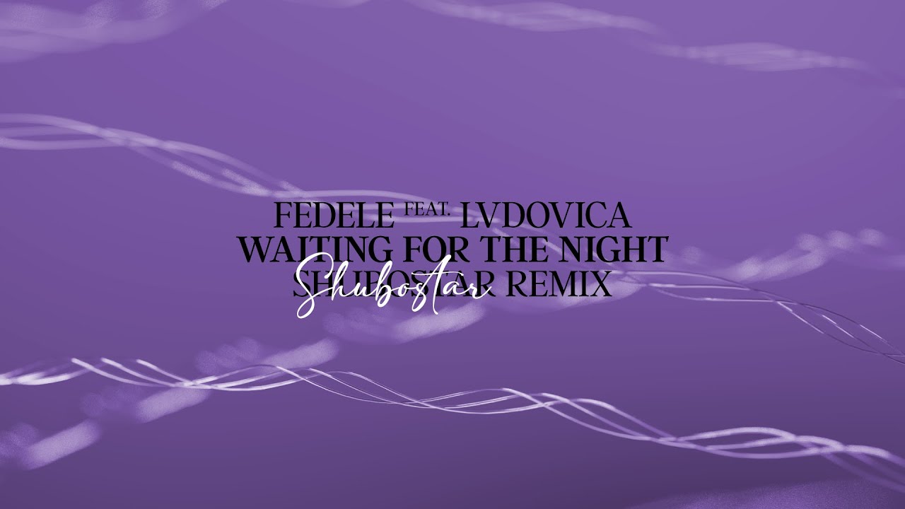 Fedele feat. Lvdovica - Waiting For The Night (Shubostar Remix) [Visualizer]