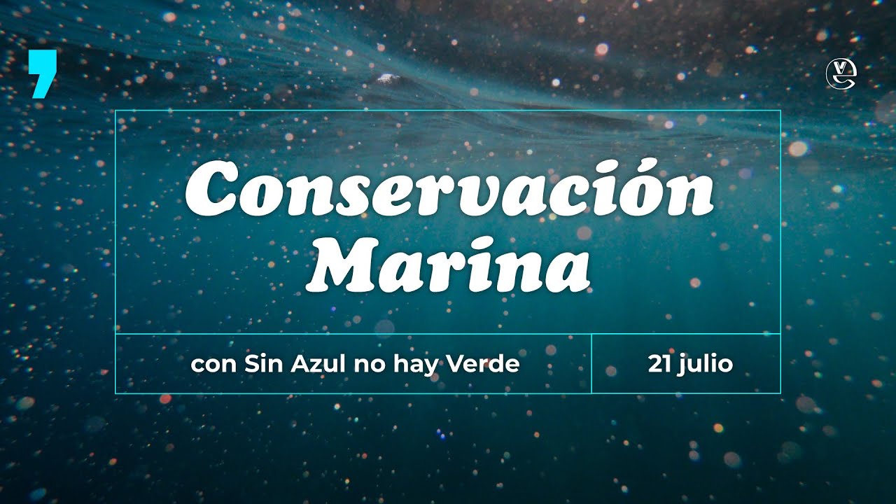 Conservaci&oacute;n Marina | EV junto a Sin Azul No Hay Verde
