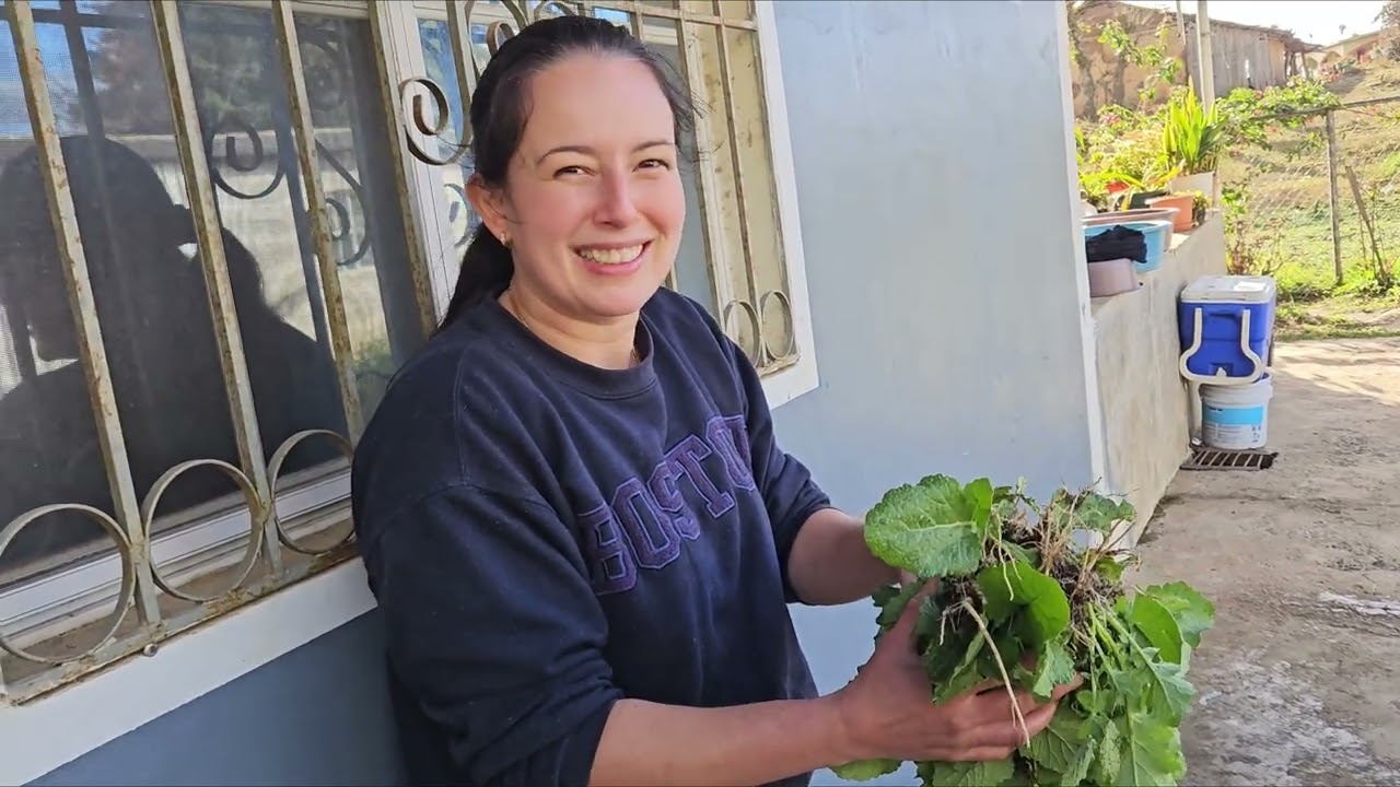 ESTA PLANTA ES LA COMIDA MAS ORGANICA QUE PUEDES COMER 