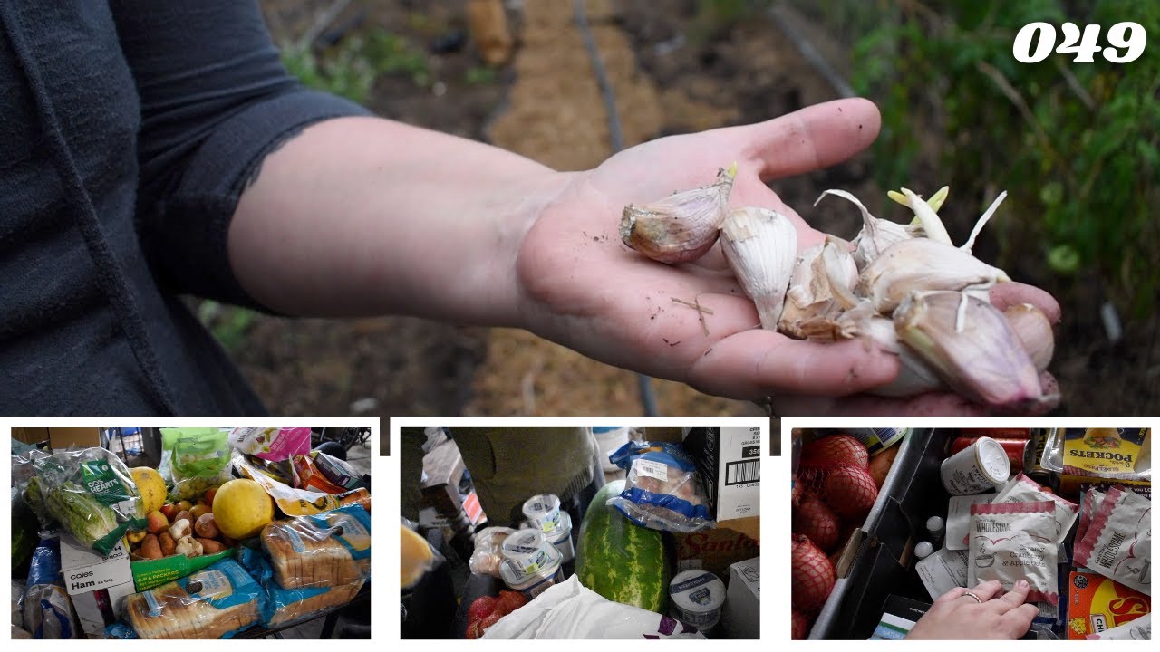 Monthly Community Food Hamper | Planting More Garlic | Chicken Pen Progress | Off Grid Australia 049
