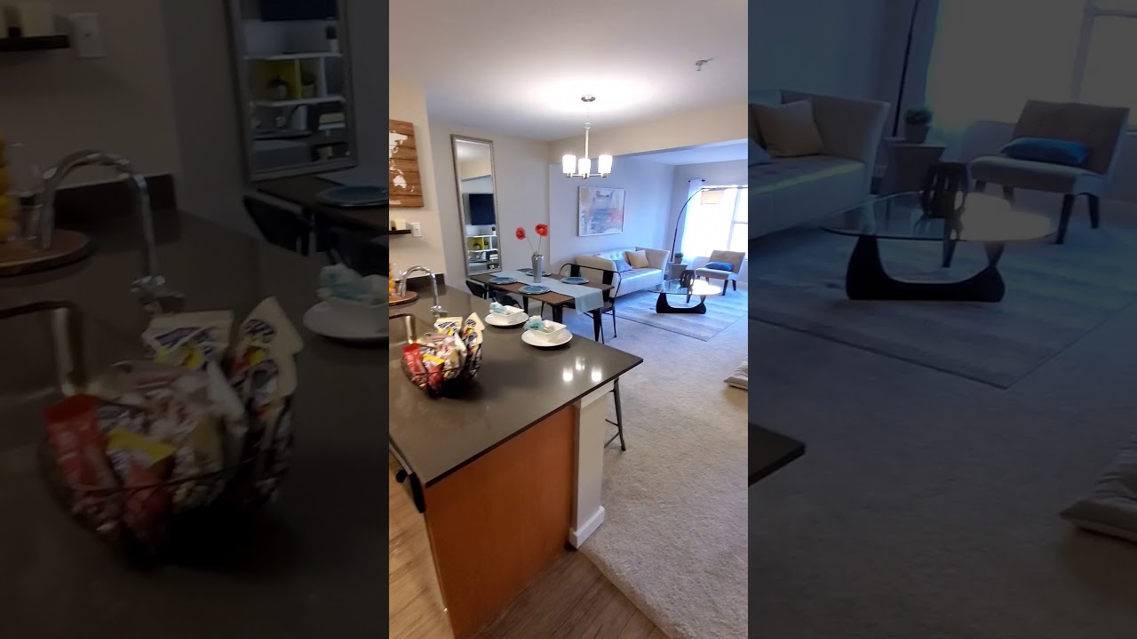 Solara Apartment Welcome Home Tour Pt. 2