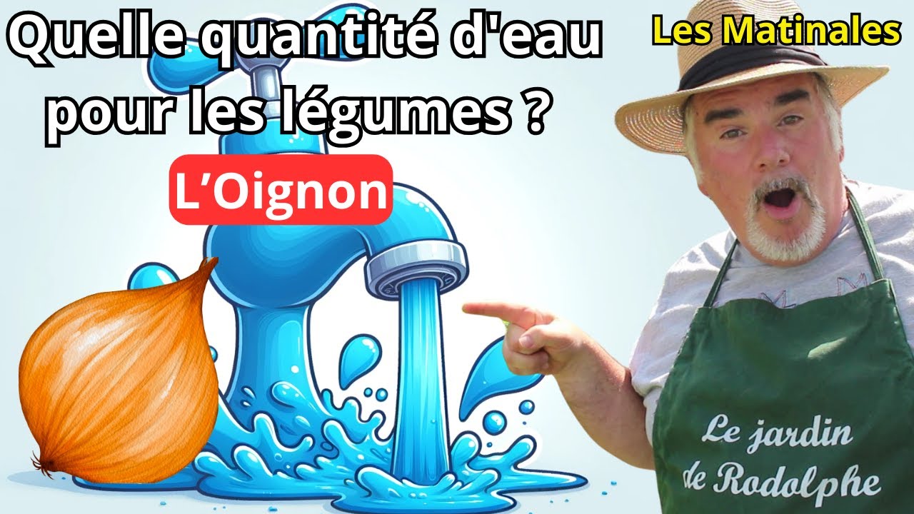 Comment Arroser vos Oignons/ Echalotes pour une Récolte Abondante