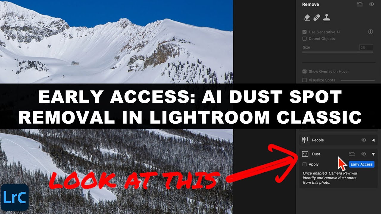 Early Access: AI DUST SPOT REMOVAL In Lightroom Classic