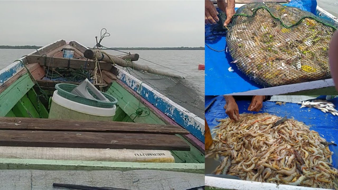 MENANGKAP UDANG ALAT SUNGKUR