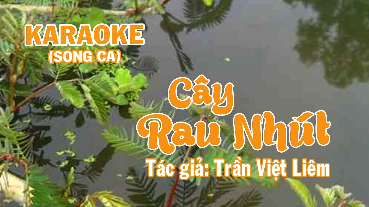 Bài ca cổ tuyệt hay CÂY RAU NHÚT - Tác giả: Trần Việt Liêm - KARAOKE SONG CA