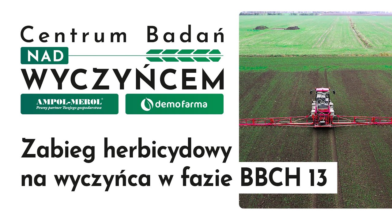 Zabieg herbicydowy na wyczyńca w fazie BBCH 13