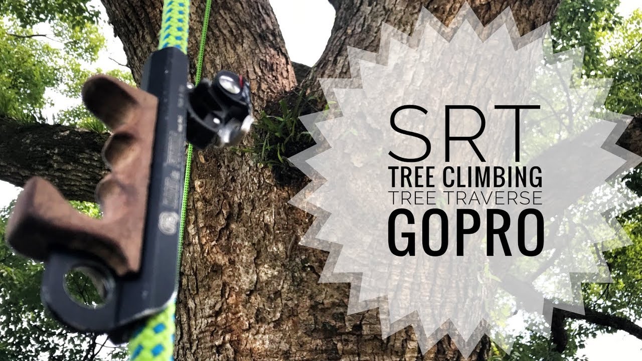 SRT / Tree Climbing / TreeTraverse / Limb walk / Gopro