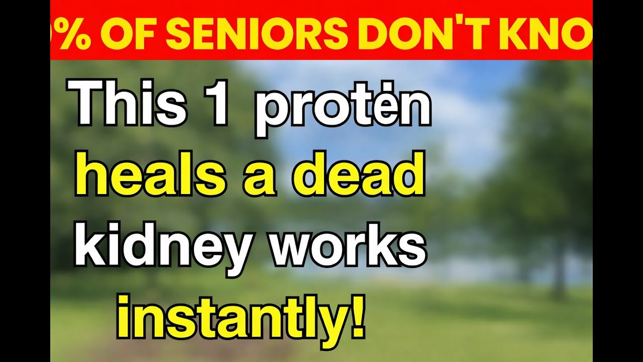 Seniors 6 Proteins That Can Damage Your Kidneys (And 4 You Can Eat Safely)  Senior Nutrition