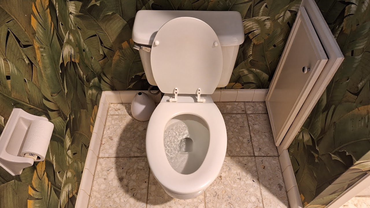 Mismatched 1974 Crane Radcliffe Toilet