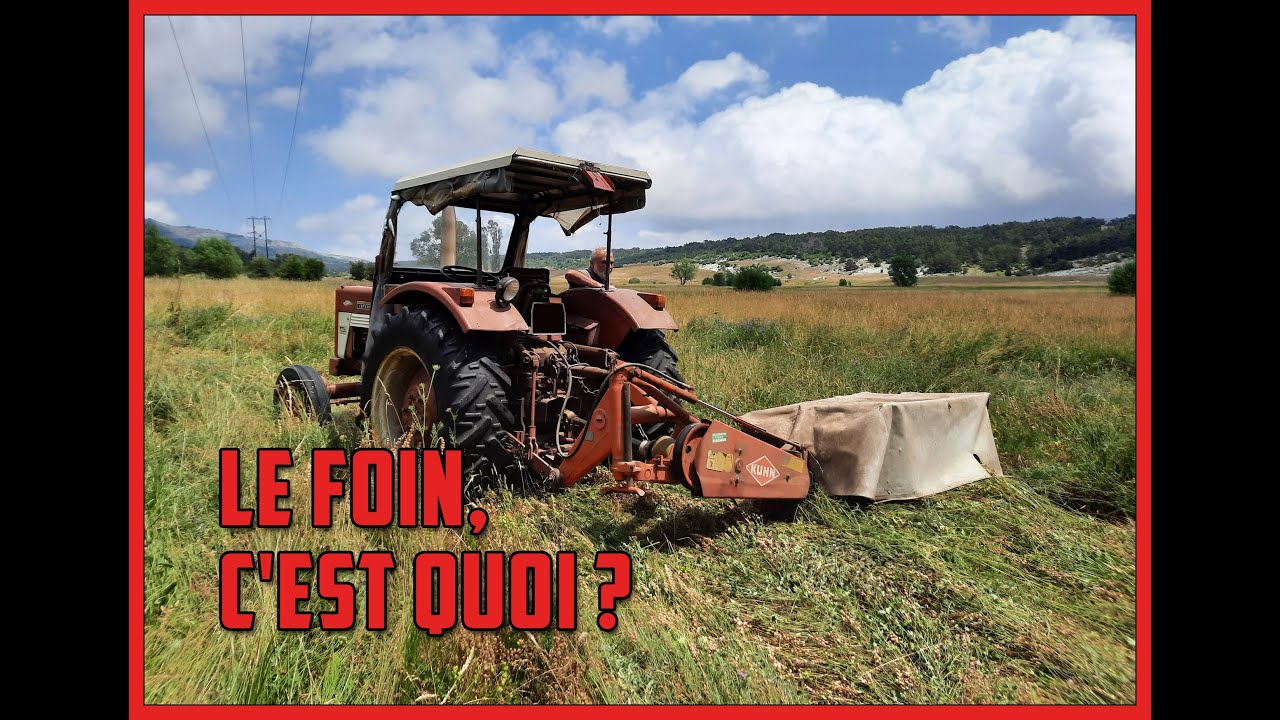 LE FOIN, C'EST QUOI ? ft. Amélia & Henry, producteurs de foin.