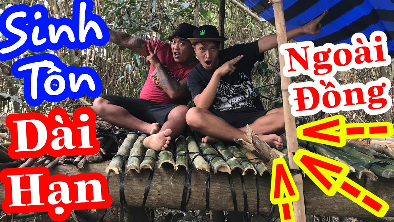 TXTV - Thánh Xàm vào đồng cách ly Sinh Tồn dài hạn | Ngày 1 dựng nhà trên cây