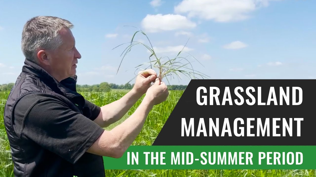 Grassland Management in the Mid-Summer Period - Noel Gowen Grasstec