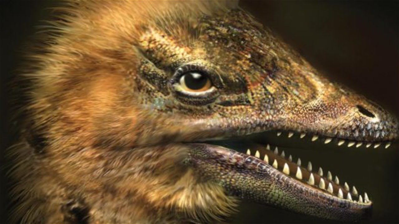 DINO CHICKEN UPDATE: Jack Horner's Incredible Announcement