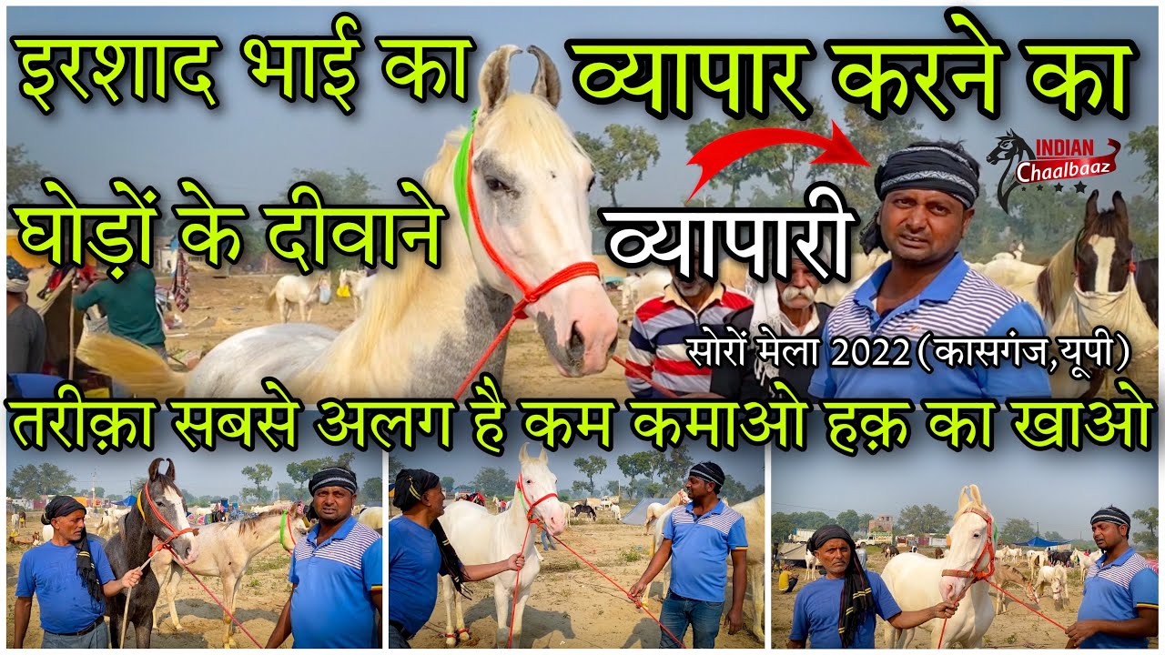 इरशाद भाई हैं घोड़ों के दीवाने व्यापारी ऐसी दीवानगी देखी नहीं कभी Soron Mela 2022 (Kasganj,UP)