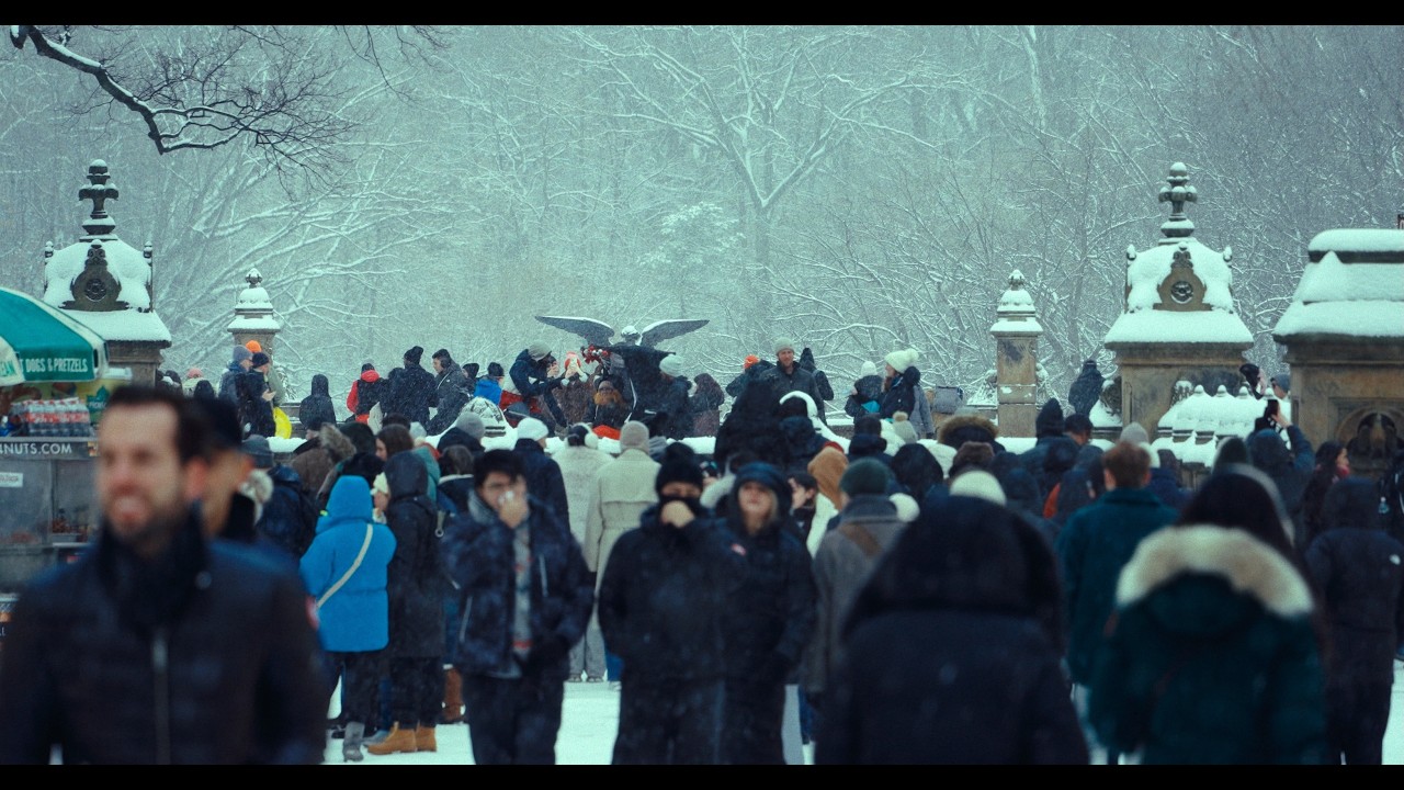 Snowfall in Central Park | Cinematic NYC moments