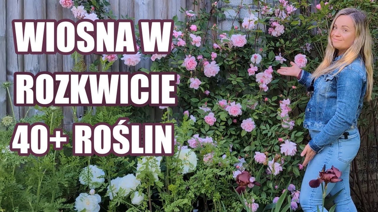 Co kwitnie w maju : ponad 40 kwitnących bylin, krzewów oraz kwiatów jednorocznych
