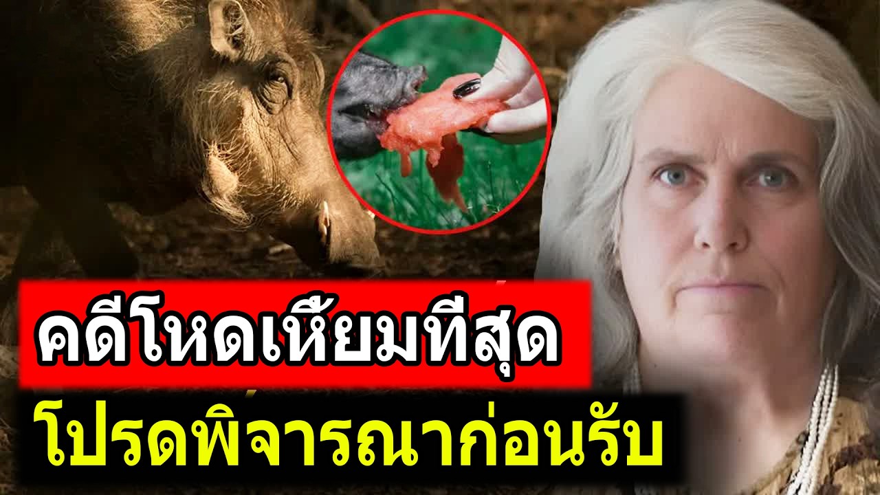 สะเทือนขวัญ! คดีโหดที่สุด - โปรดพิจารณาก่อนดู | คดีอื้อฉาว TH
