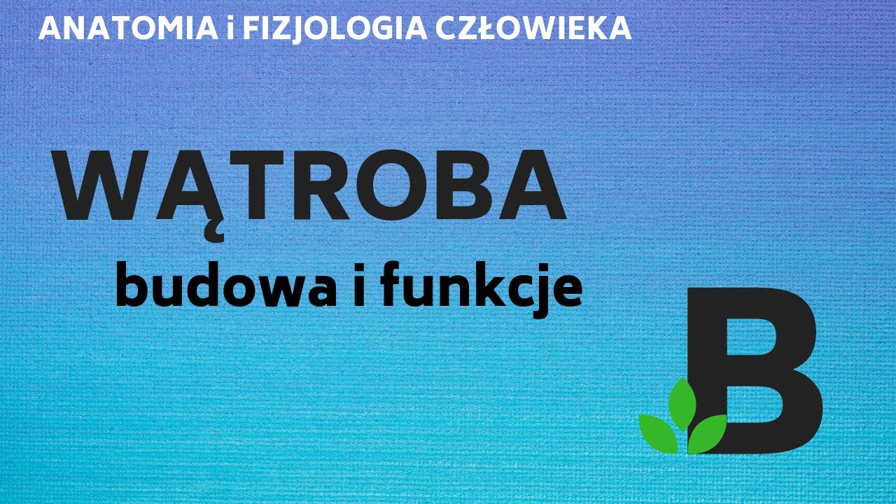 WĄTROBA budowa i funkcje wątroby - ANATOMIA i FIZJOLOGIA człowieka -- KOREPETYCJE z BIOLOGII - 252
