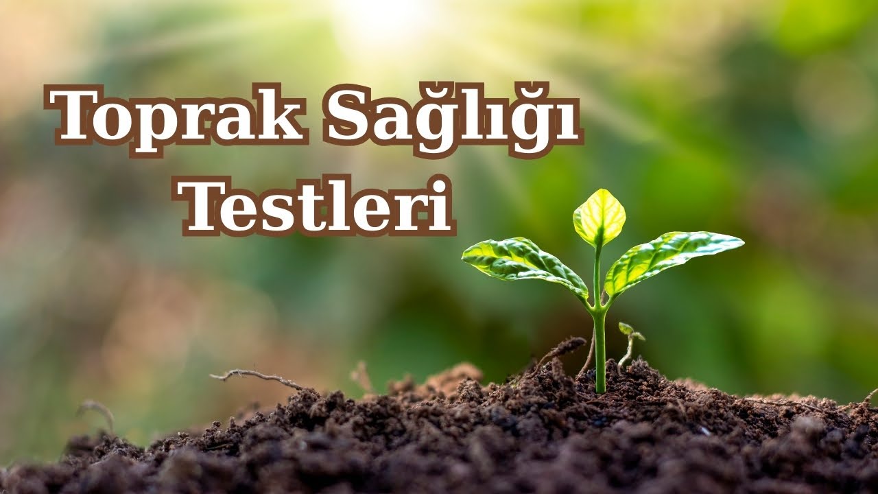 Toprak Sağlığı Testleri