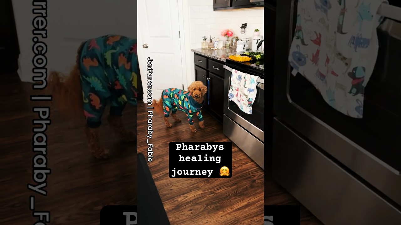 💜 Pharaby's Post Surgery Update Part 3