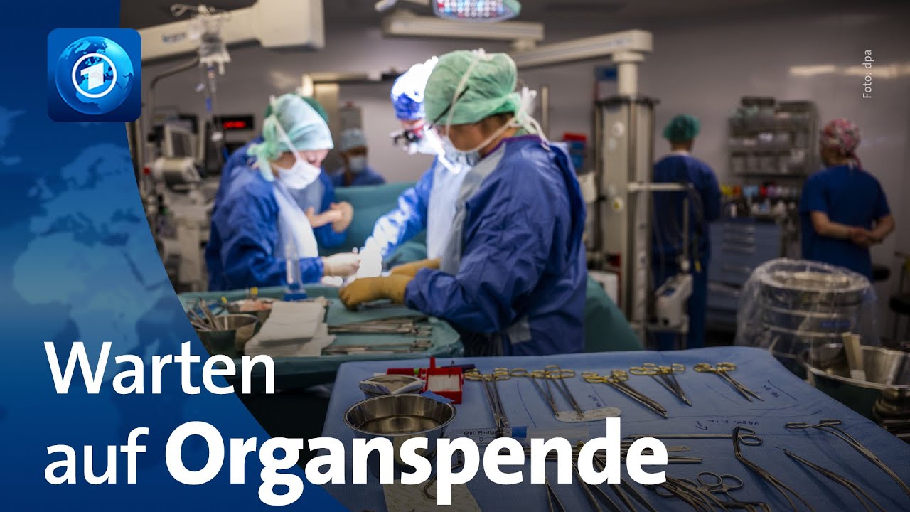 Warten auf ein Spenderorgan