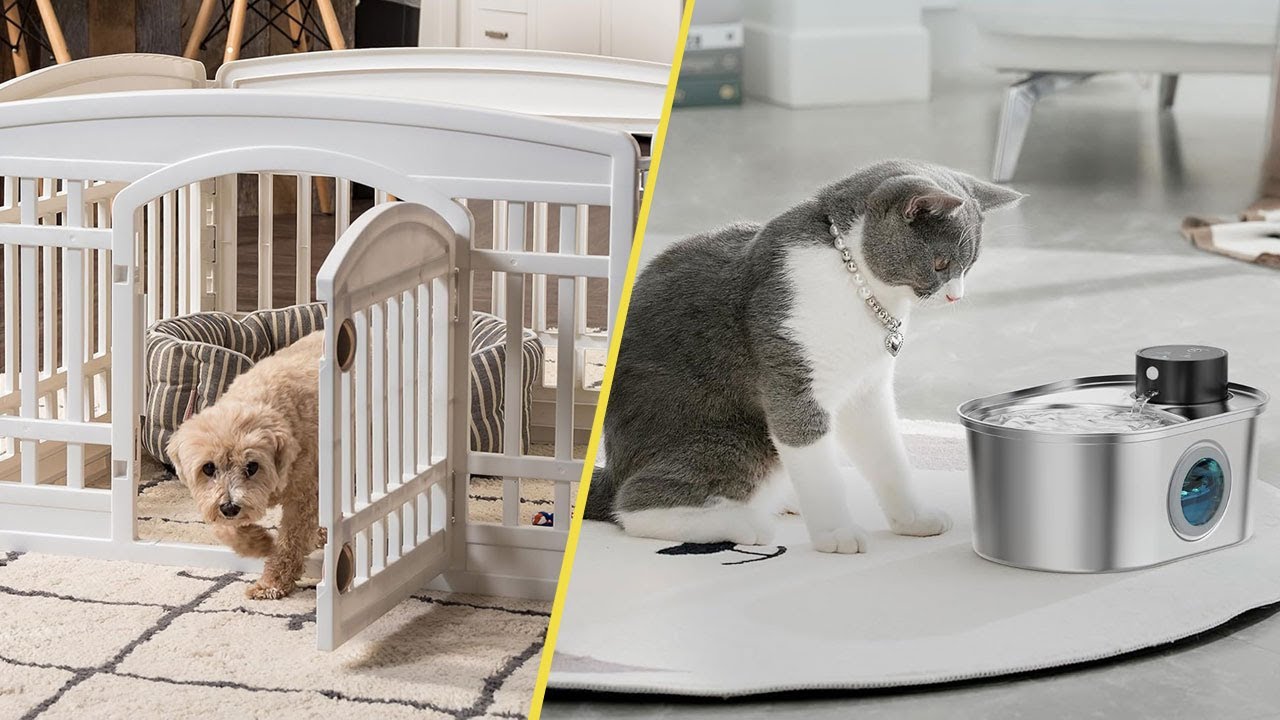 16 Pet Gadgets on Amazon