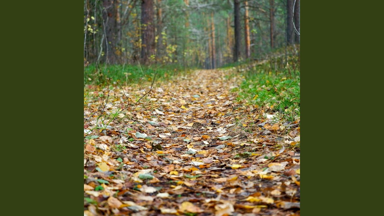 Nature's Echoes